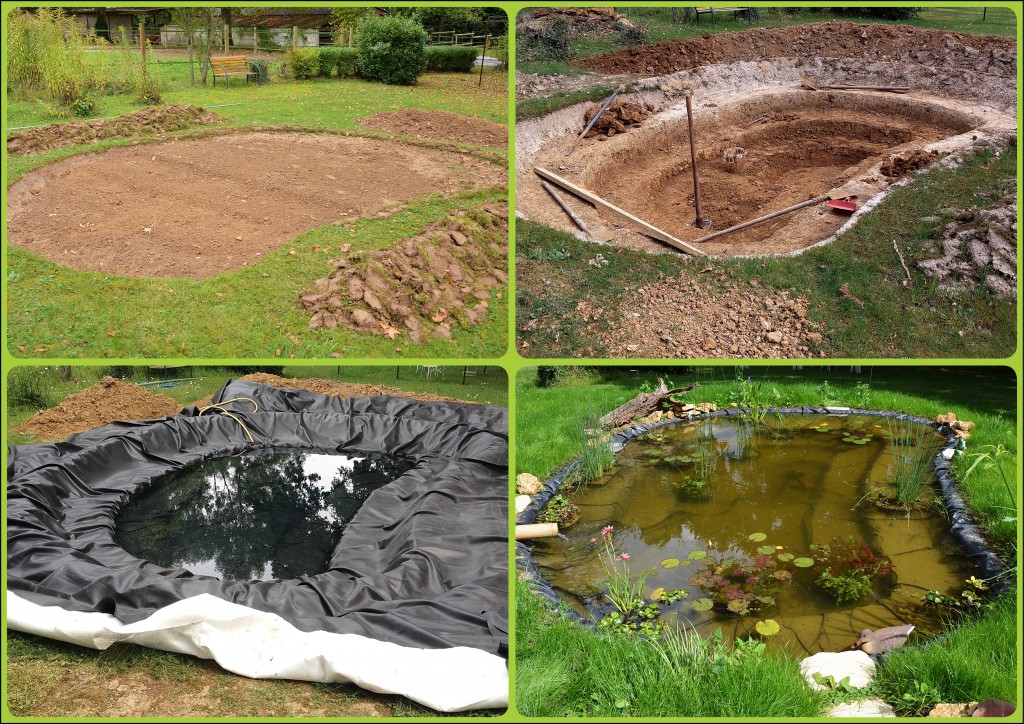 Bassin de jardin : installer, aménager et entretenir un bassin d